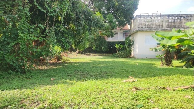 Renovated 3 Bedroom Apartment In Mona With Balcony