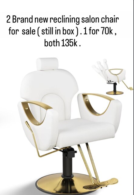 Reclining Salon Chairs Chairs Kingston