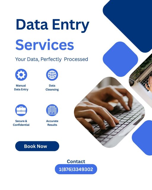 Remote Data Entry Service Accounting Services Ewarton