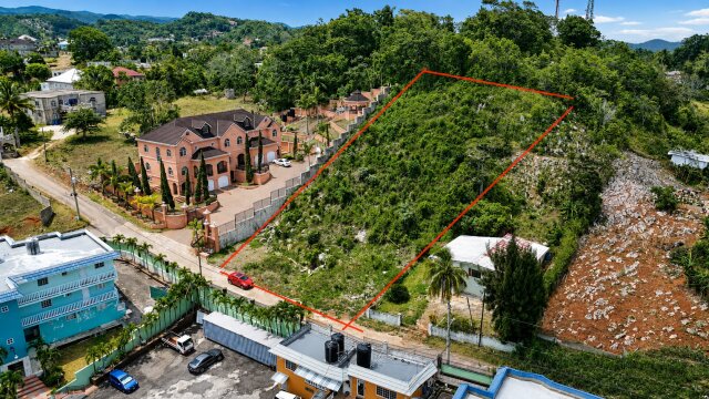1/2 Half An Acre For Sale In Greenvale Mandeville Land Mandeville