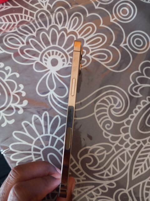 Iphone 12 Promax