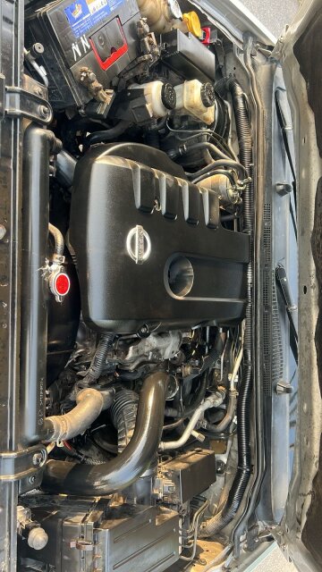 2011 Nissan Navara