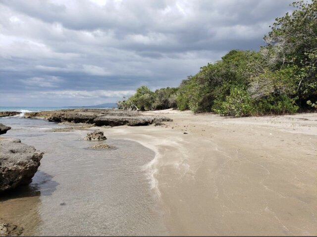 Over 2 Acres Residential Lot