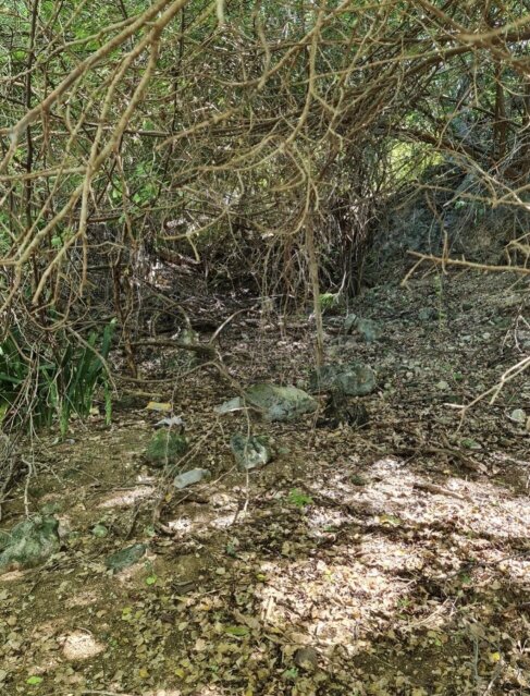 Over 2 Acres Residential Lot