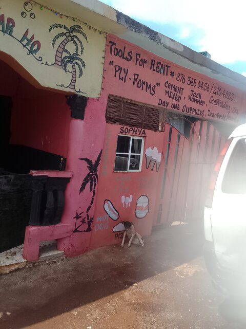 Road Side House For Sale Shop And Bar On It