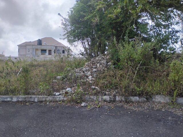 3 Separate Half Acre Lots