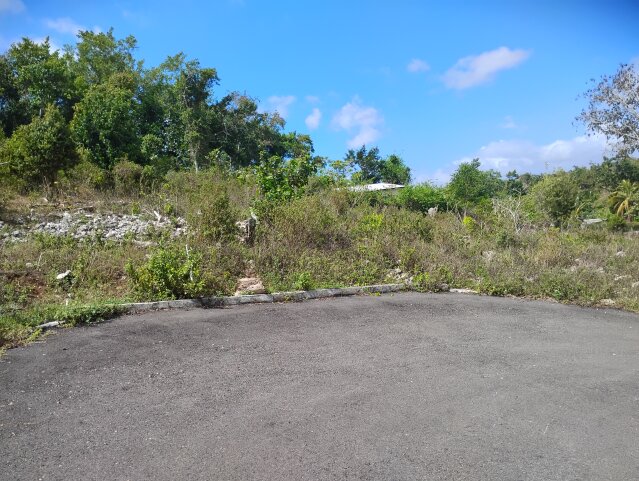 3 Separate Half Acre Lots Land Mandeville