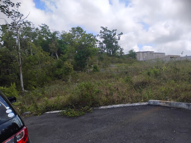 3 Separate Half Acre Lots