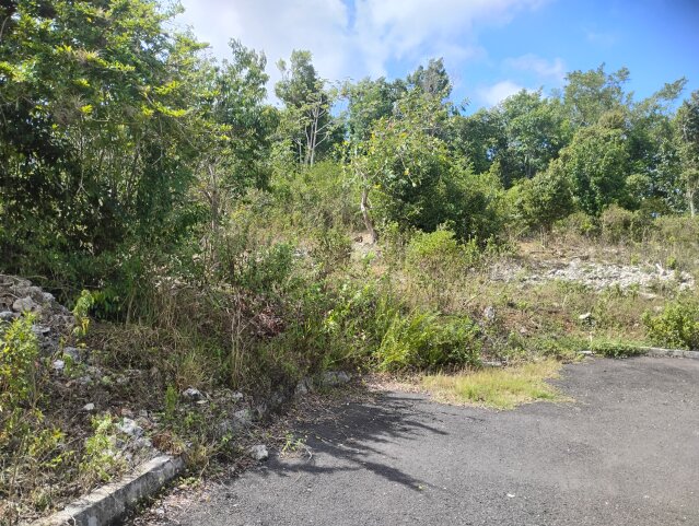 3 Separate Half Acre Lots