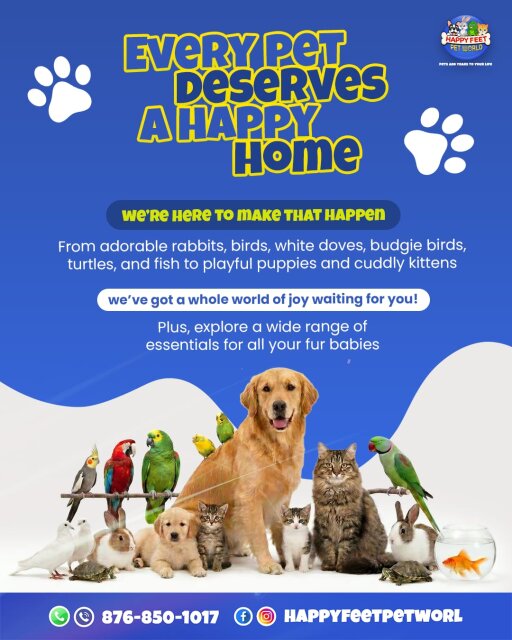 Pet Supplies