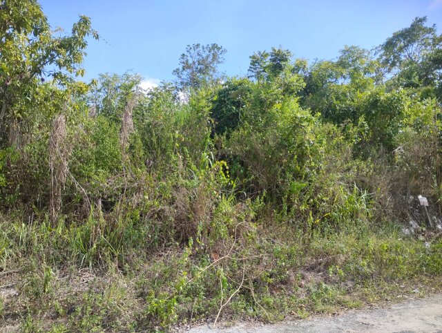 3/4 Acre