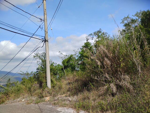 3/4 Acre Land Ingleside ,Mandeville