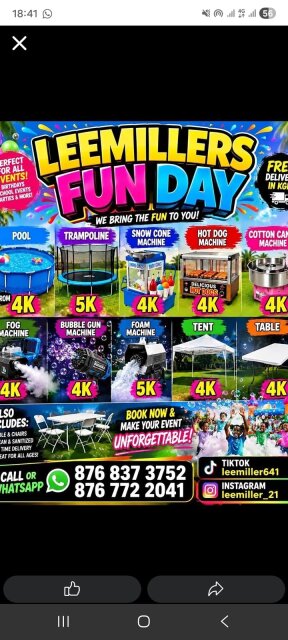 Leemillers Party Rental Service