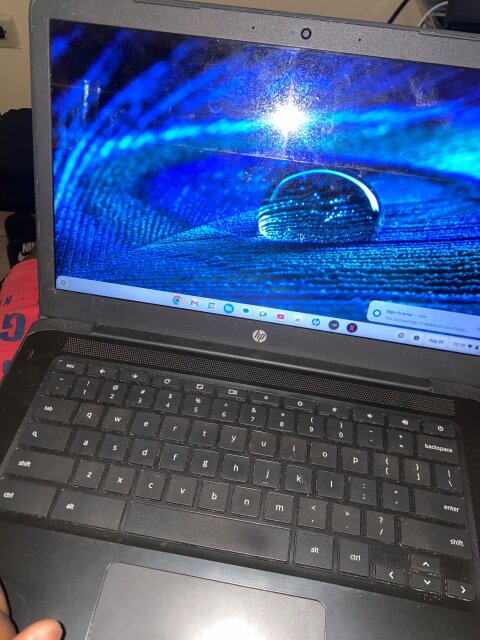 HP CROMEBOOK Laptop