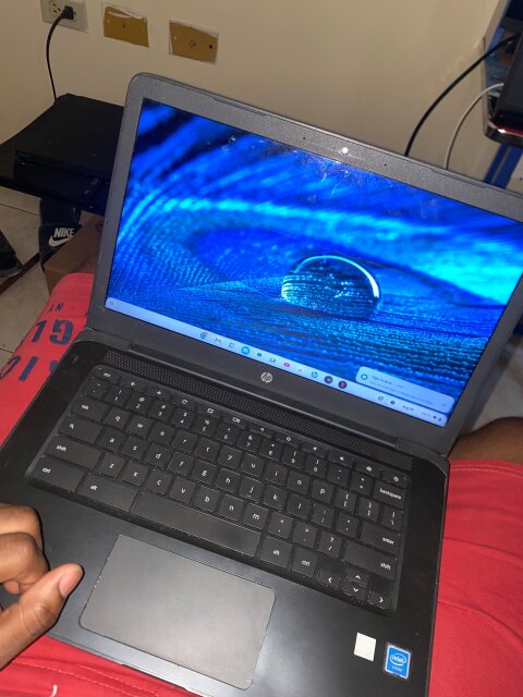 HP CROMEBOOK Laptop