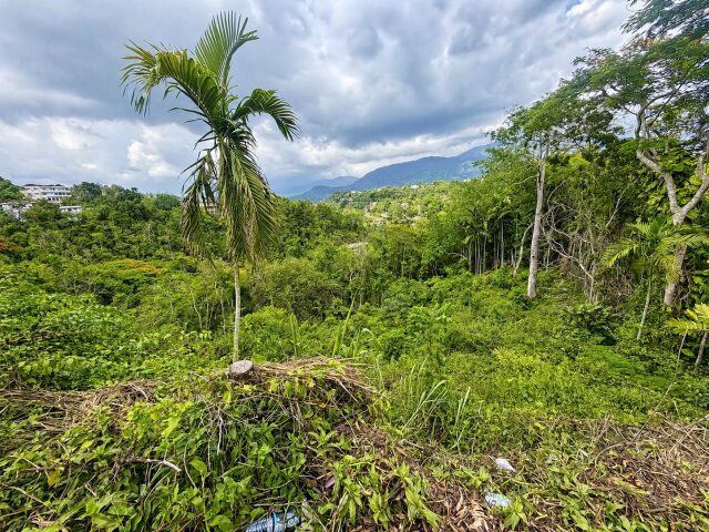1.29 Acres Of Land For Sale