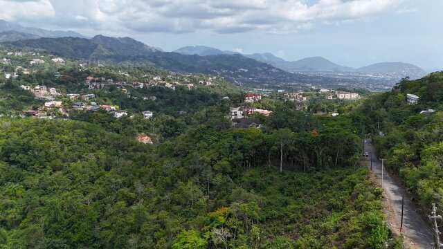 1.29 Acres Of Land For Sale