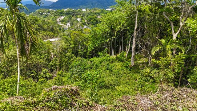 1.29 Acres Of Land For Sale