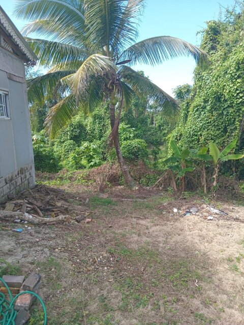 Caution Rosemarie White The Con Artist: 3 Bedrooms Houses Santoy
