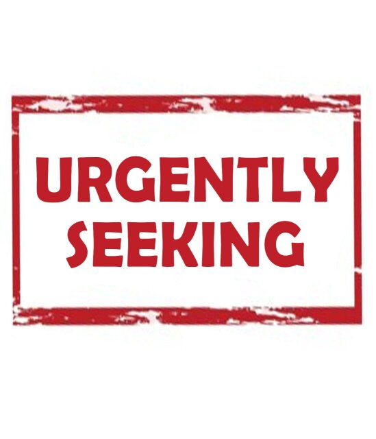 SERIOUS TENANT – Ready To Rent Now! Houses Kingston