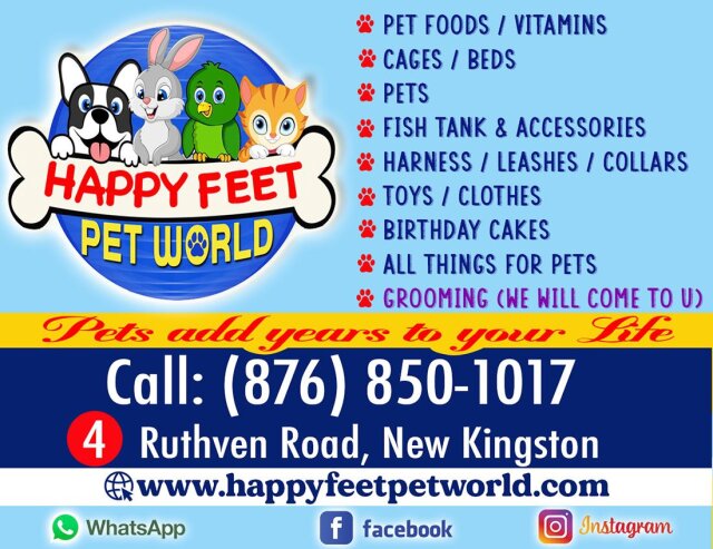 Happy Feet Pet World Pet Accessories Kingston
