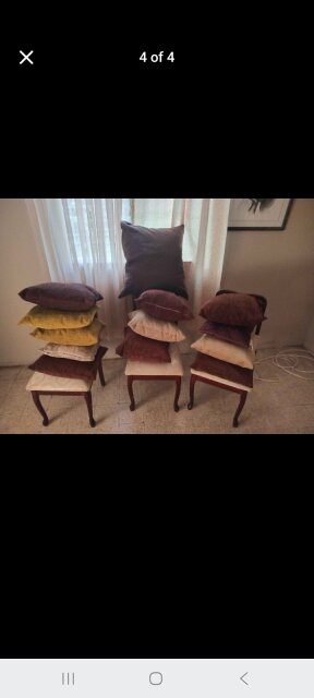 Sofa Cushions/Throw Pillows