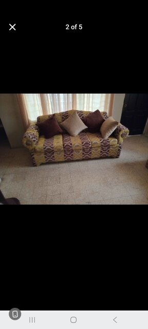 Sofa Cushions/Throw Pillows