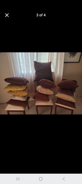 Sofa Cushions/Throw Pillows