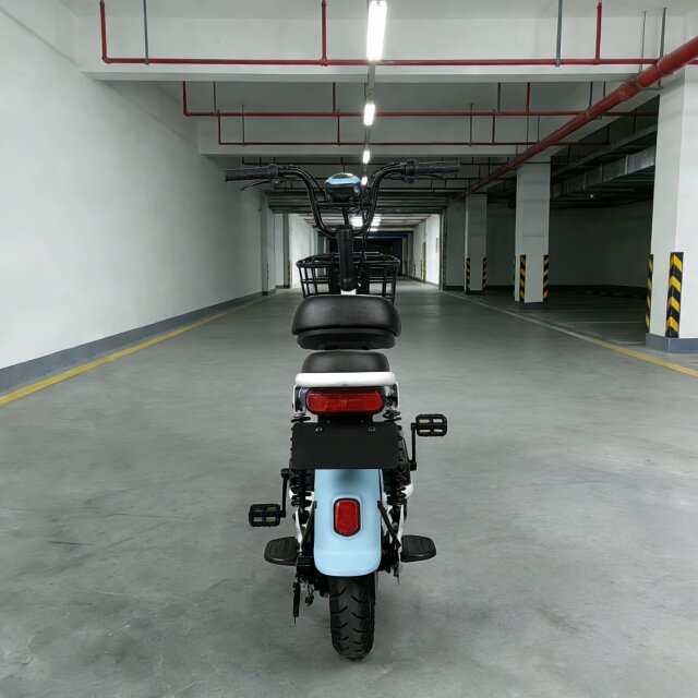 48V 350W Electric City Bike 14 Inch Vacuum Tire 2