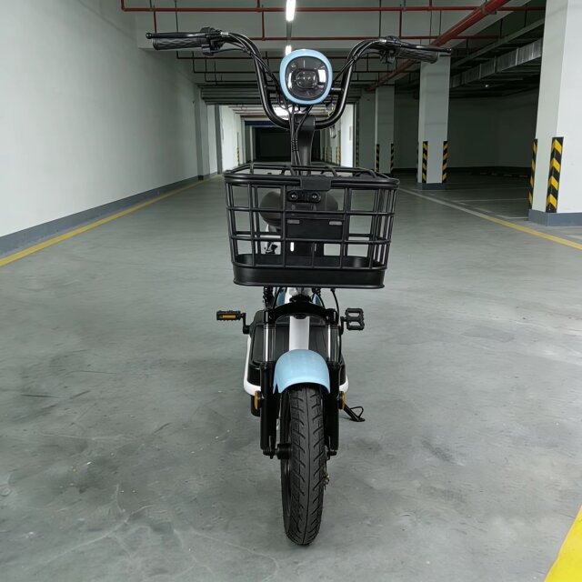 48V 350W Electric City Bike 14 Inch Vacuum Tire 2 Bikes James