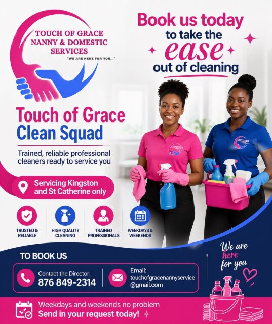Professional Cleaning Services House Keeping Services St. Catherine