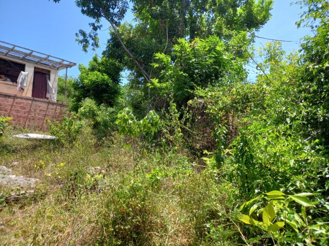 4 Acres