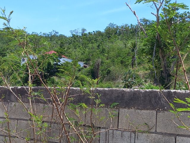 4 Acres
