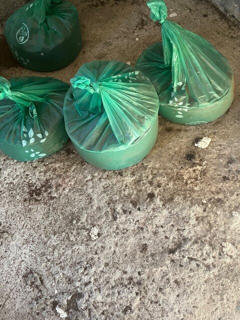 Rat Bat Guano Other Market Four Path
