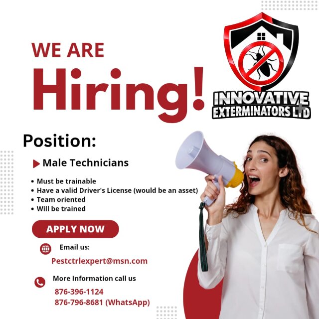 Seeking Male Workers Full Time Jobs Spanish Town