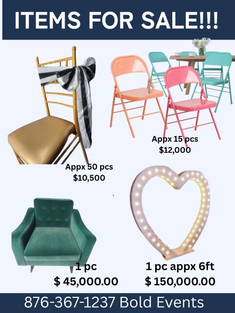 Party Rental Items For Sale