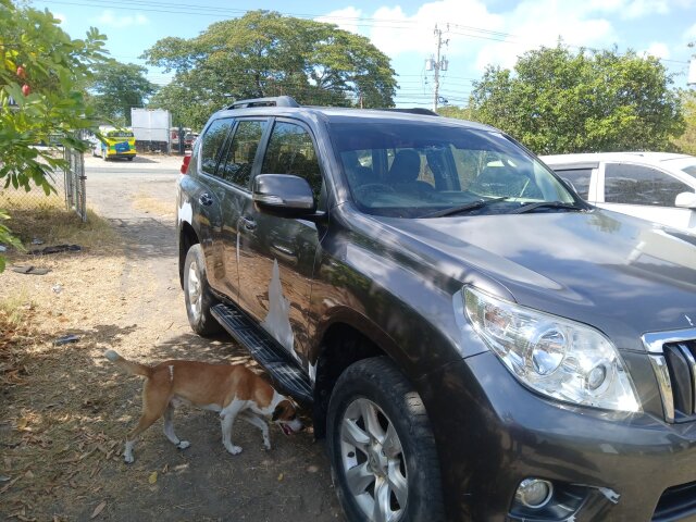 2013 TOYOTA PRADO TXL 895 0488