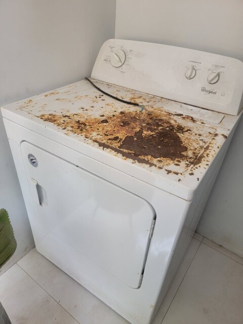 Whirlpool Dryer Home Cleaning Equipment & Supplies Liguanea