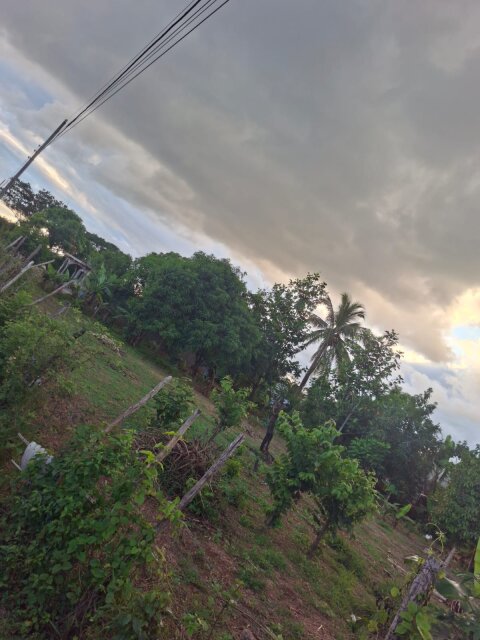0.25 Acres
