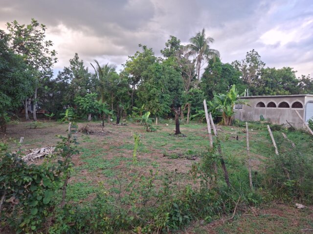 0.25 Acres Land Four Paths