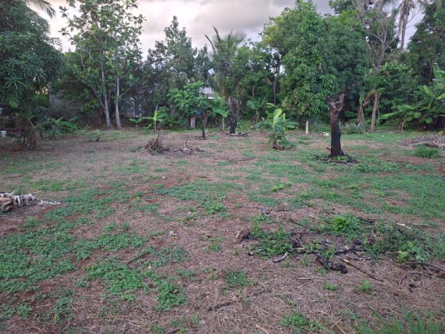 0.25 Acres