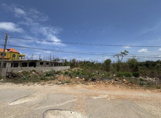 LAND FOR SALE | RETREAT HEIGHTS, TRELAWNY