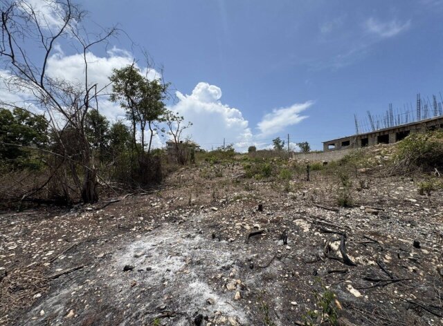 LAND FOR SALE | RETREAT HEIGHTS, TRELAWNY