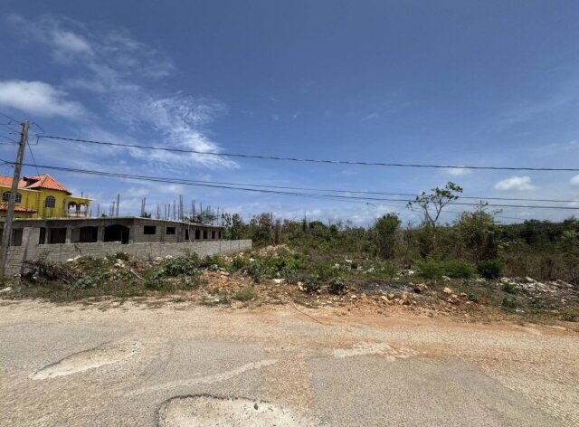 LAND FOR SALE | RETREAT HEIGHTS, TRELAWNY