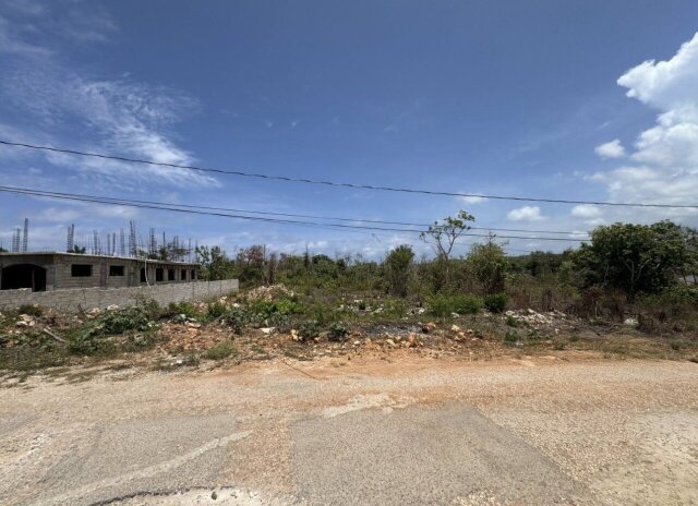 LAND FOR SALE | RETREAT HEIGHTS, TRELAWNY