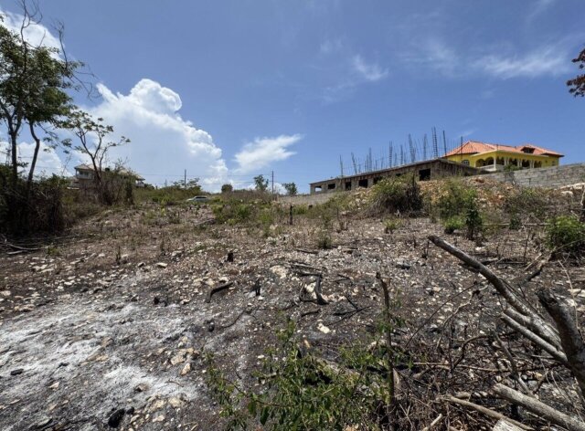 LAND FOR SALE | RETREAT HEIGHTS, TRELAWNY