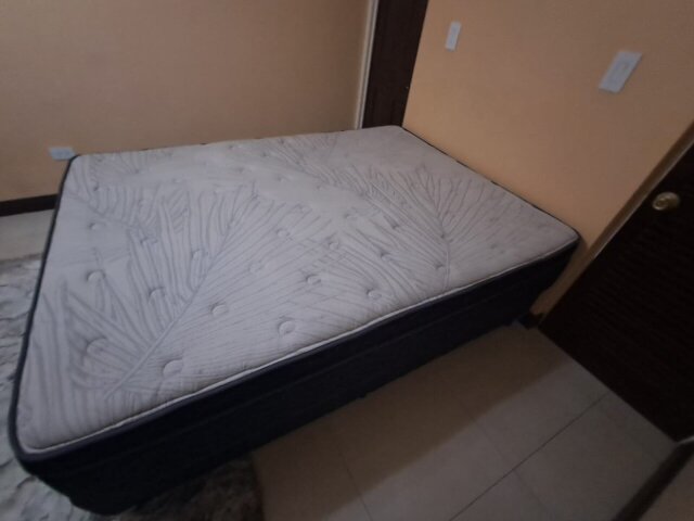 Sealy Posturepedic Super Pillowtop Queen Mattress
