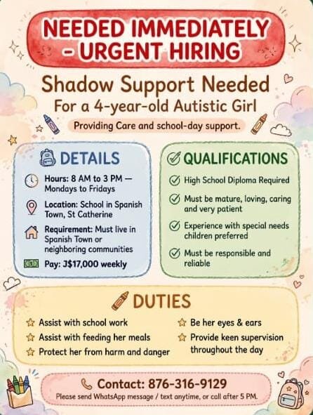 Needs A Shadow/Caregiver Full Time Jobs Spanish Town