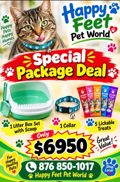 Special Offer Happy Feet Pet World Cats Kingston