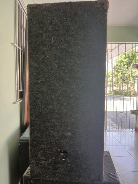 Nippon America Power USA 12 Inch Speakers